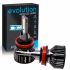 Автомобильные лампы  H11 - Evolution 40W (2шт)